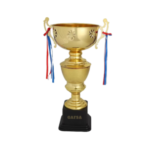 5. Custom Sports Award Manufacturer