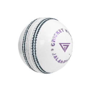 6. Wholesale Cricket Ball Supplier and Makers
