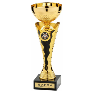 7. Custom Championship Trophy Manufacturer